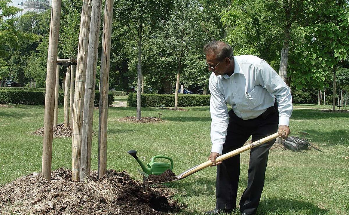 Plante un árbol en el Jardín de Lutero